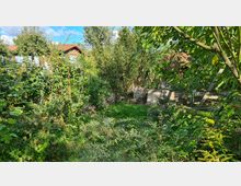 Ein dichter Garten mit üppigem Grün, Blumenbeeten und Sträuchern, umgeben von Holzkisten und einem kleinen Haus mit roten Dachziegeln im Hintergrund. Der Garten wirkt naturbelassen, mit Rankhilfen und einer Grasfläche in der Mitte.