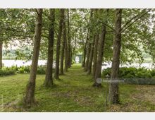 Baumallee mit gleichmäßig angeordneten Bäumen auf beiden Seiten eines grasbewachsenen Pfads, der zu einem Torbogen in der Ferne führt; im Hintergrund sind ein See und umliegende Vegetation zu sehen.