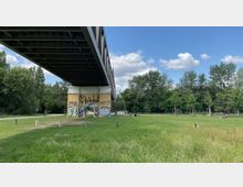 Ein moderner Brückenbau überquert eine Grünfläche mit angrenzenden Bäumen. Die gelben Brückenpfeiler sind mit Graffiti bedeckt, und im Vordergrund befinden sich ein Weg, ein gepflegter Rasenbereich und einige Sitzbänke.