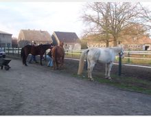 Drei Pferde, darunter ein weißes, stehen auf einem Hof mit Kopfsteinpflaster. Im Hintergrund sind bäuerliche Gebäude und ein Baum sichtbar, während Menschen die Pferde pflegen.