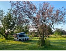 Ein Campingbus mit geöffnetem Aufstelldach steht auf einer grünen Wiese, umgeben von Bäumen, darunter ein Baum mit rosa Zweigen. Im Hintergrund ist eine ländliche, bewaldete Landschaft unter klarem, blauem Himmel zu sehen.