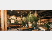 Ein modernes Café mit einer gemütlichen Inneneinrichtung, geprägt von Holztischen und -stühlen, Hängelampen und zahlreichen Pflanzen, darunter ein großer Baum in der Mitte. An der Rückwand befinden sich Regale mit Dekor und eine Theke mit Glasvitrine.
