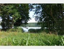 Ein See mit ruhiger Wasseroberfläche, umgeben von dichter Vegetation, darunter hohe Gräser und Bäume, die den Blick auf das Wasser einrahmen. Im Vordergrund sind Pflanzen und ein Bereich mit niedrigem Gebüsch zu sehen.