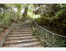 Stein-Treppe in einem bewaldeten Park, umgeben von dichtem Laub und Pflanzen; rechts ein Metallgeländer, links eine niedrige Natursteinmauer.