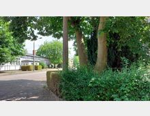 Grüne parkähnliche Umgebung mit einem Baum im Vordergrund, zahlreichen Büschen und Hecken sowie einem gepflasterten Gehweg. Im Hintergrund ist ein weißes Gebäude im Fachwerkstil zu sehen, umgeben von weiteren Bäumen.