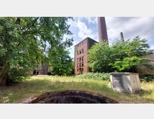 Backstein-Gebäude einer ehemaligen Industrieanlage mit hohen Schornsteinen, umgeben von dichtem Grün und Bäumen. Im Vordergrund ein Stromkasten und Grasfläche, teils verwildert.