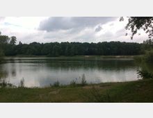 Ein ruhiger See, umgeben von einer dichten Baumreihe, mit einer leicht bewachsenen Uferzone im Vordergrund. Der Himmel ist bewölkt und spiegelt sich teilweise im Wasser.