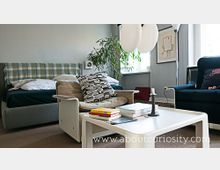 Wohnzimmer mit grauer Wandfarbe, einem grauen Sofa, einem weißen Couchtisch mit Büchern und einer Kerze darauf. Im Hintergrund ein Bett mit karierter Tagesdecke, eine große Zimmerpflanze sowie zwei Fenster mit viel Tageslicht.