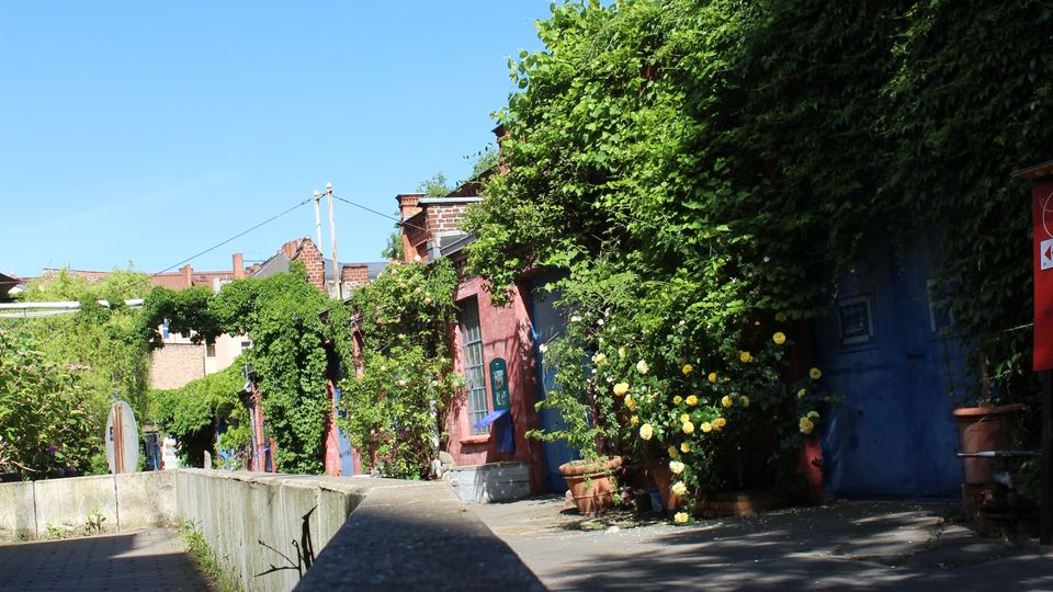 Schmaler Gehweg entlang einer niedrigen Steinmauer, neben farbigen Hausfassaden, die dicht mit Efeu und blühenden Sträuchern bewachsen sind. Im Hintergrund sind weitere Gebäude und ein klarer blauer Himmel zu sehen.