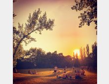 Ein Park bei Sonnenuntergang mit Menschen, die auf der Wiese sitzen oder stehen, umgeben von Bäumen; die tiefstehende Sonne wirft warmes Licht über die Szene.
