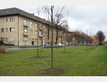 Mehrfamilienhaus mit hellem Putz und Satteldach an einer Straße, wobei davor eine Grünfläche mit jungen, kahlen Bäumen und ein durchgehendes Metallgeländer sichtbar sind. Im Hintergrund sind geparkte Autos sowie weitere Gebäude und ein Baugerät erkennbar.