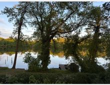 Seeufer mit dicht bewachsenen Bäumen im Vordergrund, dahinter ein ruhiger See mit Spiegelungen der Bäume im Wasser. Ein Holzsteg mit Pflanzentopf ragt ins Wasser, umgeben von grüner Vegetation.