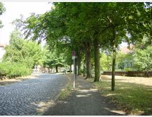 Pflasterstraße mit einer Reihe von Bäumen entlang eines Gehwegs, der von Grasflächen und einem Holzzaun gesäumt wird. Im Hintergrund sind Häuser und mehrere Personen zu sehen, der Bereich ist von grüner Vegetation umgeben.