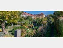 Kleingartenanlage mit gepflegten Parzellen, umgeben von Zäunen und einer schmalen Hecke entlang eines schattigen Gehwegs. Im Hintergrund sind gelbe und weiße Wohnhäuser mit roten Ziegeldächern zu sehen.
