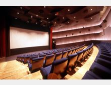 Ein moderner Kinosaal mit gewölbtem Holzfußboden, Reihen aus blau gepolsterten Sitzen und einer großen weißen Leinwand. Die Wände sind mit indirekter Beleuchtung ausgestattet, und die Decke hat abgerundete akustische Elemente.