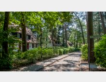 Waldsiedlung mit kleinen Häusern im traditionellen Stil, umgeben von hohen Bäumen und dichtem Grün. Eine ruhige Straße mit Straßenschild „Grumbacher Weg“ führt durch die Siedlung.