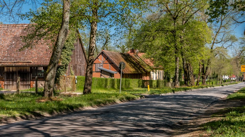 Tree-lined rural road passing through a small village, with a narrow paved street bordered by grassy verges and tall deciduous trees. Traditional farm buildings with red-tiled roofs and timber-and-brick facades sit behind hedges and fences, with roadside signs visible near the bend.