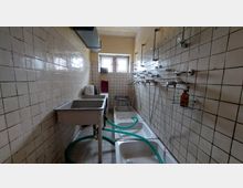 Ein schmaler Duschraum mit beigen gefliesten Wänden und mehreren Duscharmaturen auf der rechten Seite. Links befinden sich ein Edelstahlwaschbecken und dahinter ein Fenster, das etwas Licht in den Raum bringt.