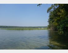 Flacher See mit klarem Wasser, im Hintergrund ein schilfbewachsener Uferstreifen und ein bewaldeter Horizont; rechts im Vordergrund überhängende Äste eines Baumes. Im Hintergrund ist ein weißes Boot zu erkennen.