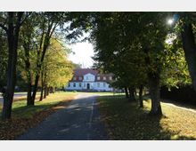 Zweistöckiges Gebäude mit weißer Fassade und rotem Dach im Hintergrund, umgeben von einer Allee aus hohen, laubbedeckten Bäumen, mit einem asphaltierten Weg, der auf das Gebäude zuführt.