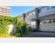 Flaches, graues Gebäude mit mehreren rechteckigen Fenstern, daneben eine grün bewachsene Wand aus Kletterpflanzen. Im Hintergrund ist ein mehrstöckiges Backsteingebäude mit der Aufschrift "ZU VERMIETEN" sichtbar.