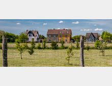 Drei Einfamilienhäuser mit Gärten stehen hinter einem offenen Feld mit jungen Bäumen und eingezäunten Bereichen. Im Hintergrund sind Bäume und ein blauer Himmel mit weißen Wolken sichtbar.