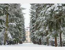 Eine verschneite Allee mit hohen Nadelbäumen führt zu einem historischen, gelblichen Gebäude mit weißen Fenstern und einem Dach mit Gauben. Der Boden und die Bäume sind vollständig mit Schnee bedeckt.