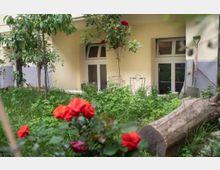 Ein kleiner Innenhof mit grüner Vegetation, roten Rosen, einem Baumstamm und einer beigen Hausfassade mit mehreren Fenstern; im Vordergrund sind Pflanzen, während an der Wand Gartengeräte lehnen.