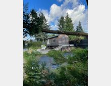 Kleines, hölzernes Gebäude auf Stelzen inmitten eines Gartens mit dichtem Grün, umgeben von Bäumen und Sträuchern. Im Vordergrund sind Zweige sichtbar, während der Hintergrund einen blauen Himmel mit einigen Wolken zeigt.