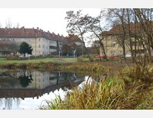 Mehrfamilienhäuser mit roten Ziegeldächern stehen in einem begrünten Wohngebiet nahe eines kleinen Teichs, in dem die Gebäude und umliegenden Bäume reflektiert werden. Der Straßenrand ist mit geparkten Autos und Gehwegen gesäumt, während im Vordergrund Schilf und Gräser am Teichufer zu sehen sind.