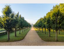 Gerade Allee mit symmetrisch gepflanzten Bäumen auf beiden Seiten, die zu einem weißen Herrenhaus im Hintergrund führt. Der Weg ist von gepflegten Rasenflächen und vereinzelten Sitzbänken gesäumt, beleuchtet von weichem Tageslicht.