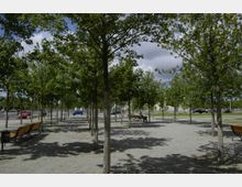Ein öffentlicher Platz mit einer symmetrischen Anordnung von Bäumen, darunter Kiesböden und mehrere Bänke. Im Hintergrund sind eine Straße mit parkenden und fahrenden Autos sowie einzelne Gebäude erkennbar.