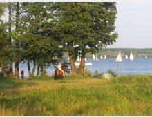 Wiese mit vereinzelten Bäumen im Vordergrund, eine Person reitet ein Pferd, und im Hintergrund ist ein See mit mehreren weißen Segelbooten sowie bewaldeten Ufern zu sehen.