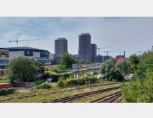 Blick auf ein städtisches Gebiet mit Bahngleisen im Vordergrund, dichtem Grün und Gebäuden im Hintergrund, darunter eine moderne Veranstaltungshalle (Mercedes-Benz Arena) und im Bau befindliche Hochhäuser mit Kränen. Die Szene zeigt eine Mischung aus urbaner Entwicklung und Vegetation.