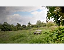 Eine Holzbank steht auf einer Wiese, umgeben von Bäumen und Sträuchern in einer ländlichen Umgebung. Im Hintergrund sind ein Holzzaun und ein Hausdach sichtbar, unter einem bewölkten Himmel mit blauen Stellen.