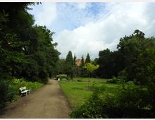 Parklandschaft mit einem geschwungenen, sandigen Weg, der durch eine grüne Wiese und dichte Bäume führt. Auf beiden Seiten des Weges stehen weiße Parkbänke, im Hintergrund sind hohe Bäume und das Dach eines Gebäudes sichtbar.