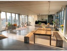 Ein offener, lichtdurchfluteter Raum mit großen Glasfronten und Blick auf eine Stadtlandschaft. Der Raum ist mit Holztischen, Bänken, Sofas, Teppichen und vielen Pflanzen ausgestattet und wirkt modern und minimalistisch.