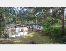 Holzhütten stehen inmitten eines bewaldeten Grundstücks mit Kiefern und anderen Bäumen. Der Boden ist mit Moos und Gras bewachsen, und die Umgebung wirkt naturnah und ruhig.