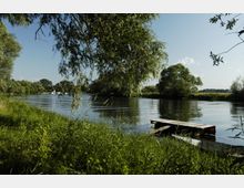 Flusslandschaft mit dicht bewachsenen Ufern, überhängenden Baumästen und einer kleinen, hölzernen Anlegestelle im Vordergrund; im Hintergrund sind weitere Bäume und eine grasbewachsene Wiese zu sehen.