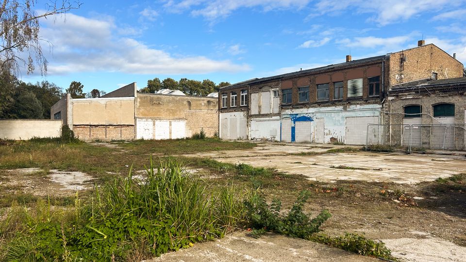 Verlassener Industriehof mit rissiger Betonfläche und überwucherten Grasflächen, umgeben von niedrigen Backstein- und Putzgebäuden mit zugemauerten Türen und Fenstern. Im Hintergrund stehen Bäume unter blauem Himmel mit vereinzelten Wolken.