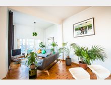 Wohnzimmer mit hellen Holzdielen, mehreren Topfpflanzen und modernem Mobiliar wie grauen Sofas und weißen Stühlen. Im Hintergrund befinden sich eine große Fensterfront, die viel Tageslicht hereinlässt, und eine minimalistische Hängelampe.