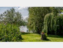 Grüne Wiese an einem Seeufer mit hohen Bäumen, darunter eine Weide mit herabhängenden Zweigen. Im Vordergrund steht ein Baumstumpf mit einem Blumentopf, daneben eine Holzbank, und im Hintergrund ist ein schmaler Steg am Wasser zu sehen.