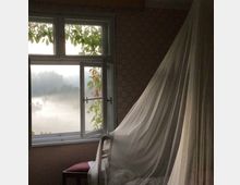 Ein Zimmer mit einem offenen Fenster, durch das neblige Landschaft und Bäume sichtbar sind. Im Vordergrund ein Bett mit weißem Moskitonetz und ein kleiner Hocker unter dem Fenster, das von Blättern umrahmt wird.
