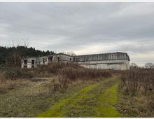 Verfallenes Industriegebäude in einer ländlichen Umgebung, umgeben von kahlen Sträuchern, hohem Gras und vereinzelten Bäumen; im Hintergrund ein bewölkter Himmel.