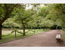 Ein gepflegter Park mit einer Kieswegallee, gesäumt von Bäumen und Weinreben, die an niedrigen Holzstützen wachsen. Im Hintergrund befinden sich Büsten auf Podesten und dichte grüne Vegetation; rechts des Weges steht eine Parkbank.