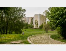 Grüne Parklandschaft mit einem gepflasterten Weg, blühenden Löwenzahnwiesen und zahlreichen Bäumen; im Hintergrund sind gelb-beige Wohnblocks zu sehen. Eine Person sitzt auf der Wiese und blickt ins Grüne.