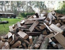 Ein Stapel gehackter Kaminholzscheite im Vordergrund, mit unscharfem Hintergrund, der eine grasbewachsene Fläche, Bäume und ein kleines Gebäude zeigt. Die Szene befindet sich vermutlich in einer ländlichen oder waldnahen Umgebung.