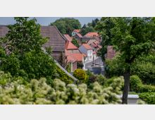 Straßenansicht eines kleinen Dorfes mit mehreren Häusern, die überwiegend rote Ziegeldächer haben. Im Vordergrund sind Bäume und Büsche zu sehen, während im Hintergrund ein bewaldeter Hügel den Blick abschließt.