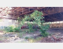 Verlassene Industriehalle mit rostigen Stahlträgern im Dachbereich, zerbrochenen Fenstern und Graffiti an den Wänden. Der Boden ist von Schutt, Holzplatten und spontan gewachsenen Pflanzen bedeckt.