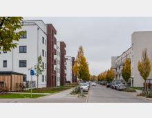 Straßenszene in einem Neubaugebiet mit mehrstöckigen Wohngebäuden aus weißem Putz und rotem Klinker. Entlang der Straße stehen Autos geparkt, und es sind gelblich verfärbte Bäume zu sehen, die den Gehweg säumen.